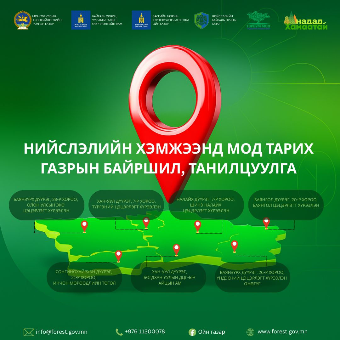 Нийслэлийн хэмжээнд долоон байршилд мод тарина